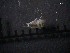  ( - SFCM22-001)  @11 [ ] Unspecified (default): All Rights Reserved  Unspecified Unspecified