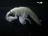  ( - SFCM24-001)  @11 [ ] Unspecified (default): All Rights Reserved  Unspecified Unspecified