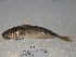  ( - FCFOP64-07)  @13 [ ] Unspecified (default): All Rights Reserved  Unspecified Unspecified