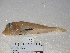  ( - FCFOP65-02)  @12 [ ] Unspecified (default): All Rights Reserved  Unspecified Unspecified