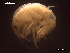  ( - SFGMMS1-04)  @11 [ ] CreativeCommons - Attribution Non-Commercial (2017) Unspecified University of Minho, Centre of Molecular and Environmental Biology