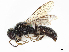  ( - CHARS00479-H09)  @11 [ ] CreativeCommons - Attribution Share - Alike (2023) CBG Photography Group Centre for Biodiversity Genomics