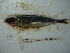 ( - 3477E01)  @11 [ ] Unspecified (default): All Rights Reserved  Unspecified Unspecified