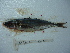  ( - 3477E06)  @11 [ ] Unspecified (default): All Rights Reserved  Unspecified Unspecified