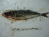  ( - 3477E08)  @11 [ ] Unspecified (default): All Rights Reserved  Unspecified Unspecified