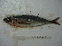  ( - 3477E10)  @11 [ ] Unspecified (default): All Rights Reserved  Unspecified Unspecified