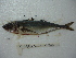  ( - 3477E11)  @11 [ ] Unspecified (default): All Rights Reserved  Unspecified Unspecified