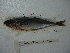  ( - 3477F01)  @11 [ ] Unspecified (default): All Rights Reserved  Unspecified Unspecified