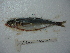  ( - 3477F02)  @11 [ ] Unspecified (default): All Rights Reserved  Unspecified Unspecified