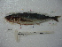  ( - 3477F04)  @11 [ ] Unspecified (default): All Rights Reserved  Unspecified Unspecified