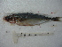  ( - 3477F06)  @11 [ ] Unspecified (default): All Rights Reserved  Unspecified Unspecified
