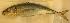  ( - 0358/G10)  @14 [ ] Unspecified (default): All Rights Reserved  Unspecified Unspecified