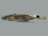  ( - IBUNAM_CNMA_34846)  @12 [ ] Unspecified (default): All Rights Reserved  Unspecified Unspecified