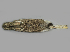  (Lepus - IBUNAM_CNMA_34850)  @14 [ ] Unspecified (default): All Rights Reserved  Unspecified Unspecified