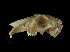  ( - IBUNAM_CNMA_39716)  @13 [ ] Unspecified (default): All Rights Reserved  Unspecified Unspecified