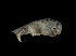  ( - IBUNAM_CNMA_46536)  @12 [ ] Unspecified (default): All Rights Reserved  Unspecified Unspecified