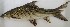 ( - G029_Kafue)  @11 [ ] Unspecified (default): All Rights Reserved  Unspecified Unspecified