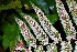  ( - AVM68)  @11 [ ] CreativeCommons-Atribution Non-commercial Share -Alike (2019) Rafael F. del Castillo Instituto Politécnico Nacional
