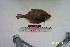  ( - YPK71)  @12 [ ] Unspecified (default): All Rights Reserved  Unspecified Unspecified