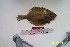  ( - YPK73)  @13 [ ] Unspecified (default): All Rights Reserved  Unspecified Unspecified