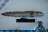  ( - Ber_110)  @12 [ ] No Rights Reserved (2008) Unspecified Institute of Marine Biology, Vladivostok