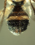  ( - BPC4259)  @11 [ ] Unspecified (default): All Rights Reserved  Bio-protection Research Centre Unspecified