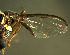  ( - BPC4260)  @11 [ ] Unspecified (default): All Rights Reserved  Bio-protection Research Centre Unspecified
