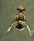  ( - BPC4261)  @11 [ ] Unspecified (default): All Rights Reserved  Bio-protection Research Centre Unspecified
