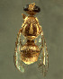  ( - BPC4263)  @14 [ ] Unspecified (default): All Rights Reserved  Bio-protection Research Centre Unspecified