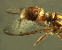  ( - BPC4263)  @13 [ ] Unspecified (default): All Rights Reserved  Bio-protection Research Centre Unspecified