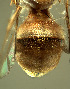  ( - BPC4265)  @13 [ ] Unspecified (default): All Rights Reserved  Bio-protection Research Centre Unspecified