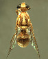  ( - BPC4265)  @14 [ ] Unspecified (default): All Rights Reserved  Bio-protection Research Centre Unspecified