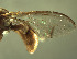  ( - BPC4265)  @13 [ ] Unspecified (default): All Rights Reserved  Bio-protection Research Centre Unspecified