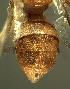  ( - BPC4266)  @13 [ ] Unspecified (default): All Rights Reserved  Bio-protection Research Centre Unspecified