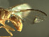  ( - BPC4266)  @13 [ ] Unspecified (default): All Rights Reserved  Bio-protection Research Centre Unspecified