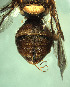  ( - BPC4277)  @12 [ ] Unspecified (default): All Rights Reserved  Bio-protection Research Centre Unspecified