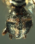  ( - BPC4293)  @13 [ ] Unspecified (default): All Rights Reserved  Bio-protection Research Centre Unspecified