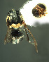  ( - BPC4293)  @13 [ ] Unspecified (default): All Rights Reserved  Bio-protection Research Centre Unspecified