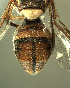  ( - BPC4296)  @12 [ ] Unspecified (default): All Rights Reserved  Bio-protection Research Centre Unspecified