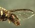  ( - BPC4296)  @12 [ ] Unspecified (default): All Rights Reserved  Bio-protection Research Centre Unspecified
