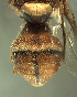  ( - BPC4297)  @12 [ ] Unspecified (default): All Rights Reserved  Bio-protection Research Centre Unspecified