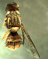  ( - BPC4297)  @13 [ ] Unspecified (default): All Rights Reserved  Bio-protection Research Centre Unspecified