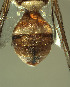 ( - BPC4298)  @13 [ ] Unspecified (default): All Rights Reserved  Bio-protection Research Centre Unspecified