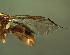 ( - BPC4298)  @13 [ ] Unspecified (default): All Rights Reserved  Bio-protection Research Centre Unspecified