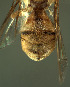  ( - BPC4308)  @14 [ ] Unspecified (default): All Rights Reserved  Bio-protection Research Centre Unspecified