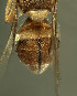  ( - BPC4312)  @11 [ ] Unspecified (default): All Rights Reserved  Bio-protection Research Centre Unspecified