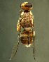  ( - BPC4312)  @11 [ ] Unspecified (default): All Rights Reserved  Bio-protection Research Centre Unspecified