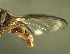  ( - BPC4312)  @11 [ ] Unspecified (default): All Rights Reserved  Bio-protection Research Centre Unspecified