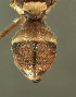  ( - BPC4313)  @11 [ ] Unspecified (default): All Rights Reserved  Bio-protection Research Centre Unspecified