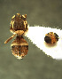  ( - BPC4313)  @11 [ ] Unspecified (default): All Rights Reserved  Bio-protection Research Centre Unspecified